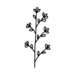 Branch with leaves drawing a line.Contour drawing made by hand.Floral design, for decoration, bouquets, decoration.Doodles.Black and white image.Isolated on a white background.Vector