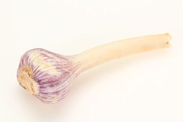 Raw young Garlic isolated on white