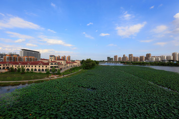Fototapeta na wymiar Waterfront city scenery, China