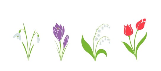 spring flower set. flower design element. hand drawn crocus, snowdrop, tulip and lily of the valley