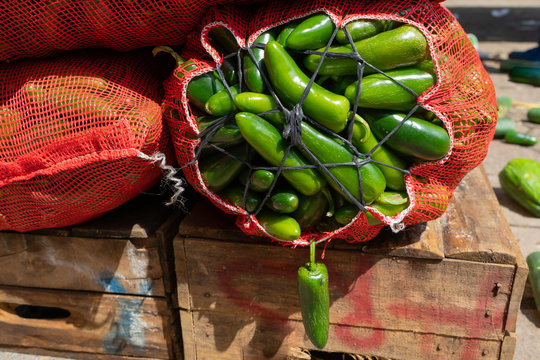 Los chiles verdes est&aacute;n en costales rojos para llevarlos a la bodega.