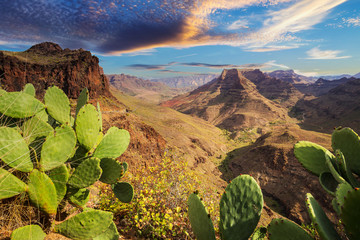 Mountains and valleys of Gran Canaria island at sunset, Spain - obrazy, fototapety, plakaty