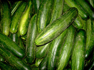 fresh cucumbers for sale at the market