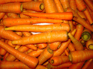 bunch of fresh carrots