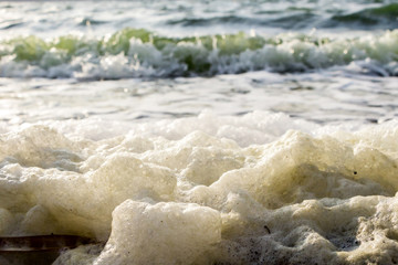 environmental pollution, close-up dirty yellow foam thrown by the waves on the beach, dries in the...