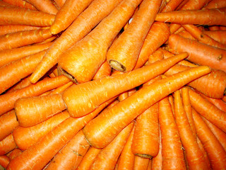 bunch of fresh carrots