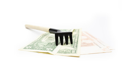 Miniature rake on a pile of money on a white background isolate