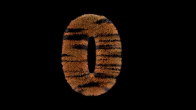 3d animated furry typeface with tiger hair and alpha channel  0