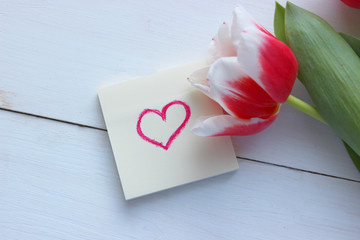 An empty paper note with a red heart-shaped decoration on a white background of a wooden table, a bouquet of tulips. Love, wedding, romantic and Happy Valentine's day holiday concept