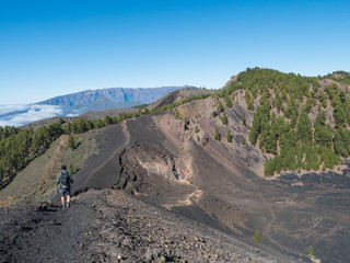 Volcanic landscape with lush green pine trees, colorful volcanoes and lava rock field along path Ruta de los Volcanes, hiking trail at La Palma island, Canary Islands, Spain, Blue sky background © Kristyna