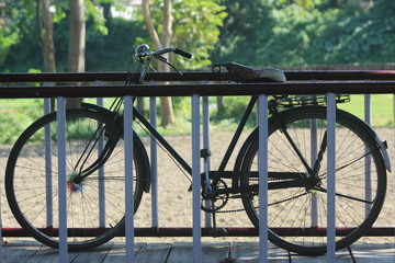 bicycle diaries
