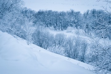 Beautiful winter landscape with snowy trees along the river. View from above