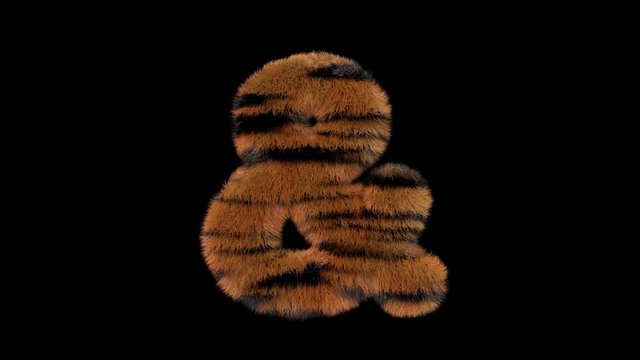 3d animated furry typeface with tiger hair and alpha channel  ampersand