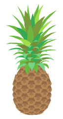 Pineapple fruit flat vector colorful illustration