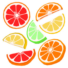 Orange lemon grapefruit lime slice flat isolated vector colorful illustrations