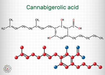 Cannabigerolic acid, CBGA,  molecule. It is cannabinoid, precursor tetrahydrocannabinolic acid THCA, cannabidiolic acid CBDA, cannabichromenic acid CBCA. Sheet of paper in a cage. 