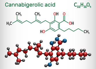 Cannabigerolic acid, CBGA,  molecule. It is cannabinoid, precursor tetrahydrocannabinolic acid THCA, cannabidiolic acid CBDA, cannabichromenic acid CBCA. Structural chemical formula and molecule model