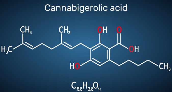 Cannabigerolic acid, CBGA,  molecule. It is cannabinoid, precursor tetrahydrocannabinolic acid THCA, cannabidiolic acid CBDA, cannabichromenic acid CBCA. Dark blue background. 