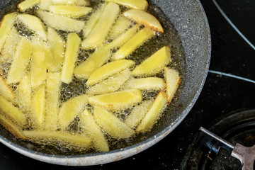 Fried french fries