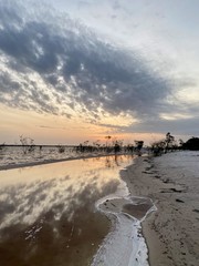 Manaus, Amazonas, Brazil. Rio Negro river and its beauties that enchant to all visitors. Amazonia, the living nature.