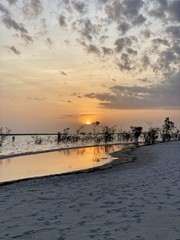 Manaus, Amazonas, Brazil. Rio Negro river and its beauties that enchant to all visitors. Amazonia, the living nature.