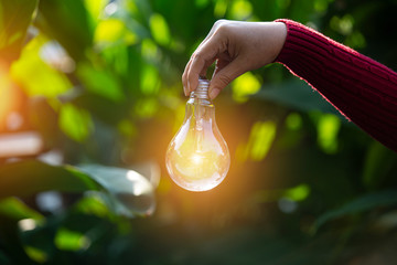 hand holding light bulb against nature, icons energy sources for renewable,