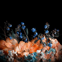 Beautiful bunch of colorful flowers on black background.