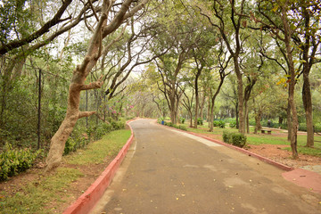 Pathway in Park