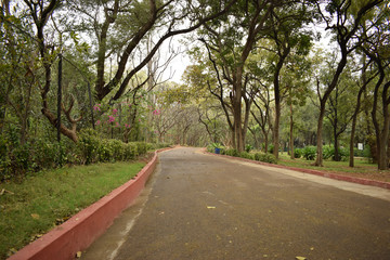 Pathway in Park