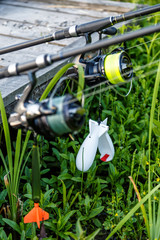 carp fishing rods.Carpfishing session at the Lake.