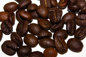 Coffee beans on a white background