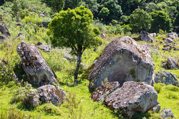 Paisagem com árvore e rochas
