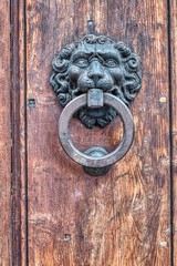 antique iron lion head knocker
