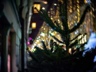 Close-up of a spruce tree standing near the building, against a blurred background of a brightly decorated yellow street lights