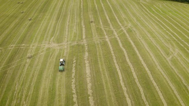 Agricultural field on farm with tractor making haystacks during harvesting.