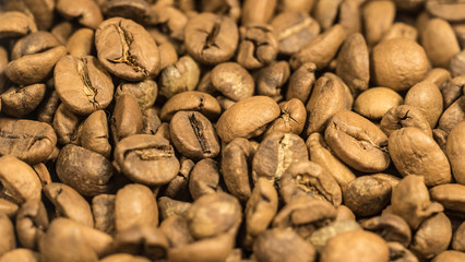 close-up shot of coffee beans