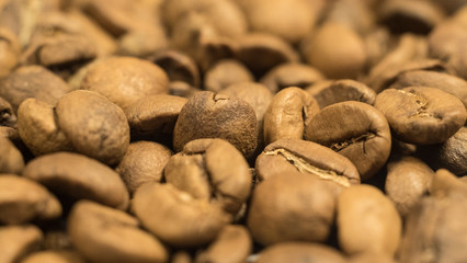 close-up shot of coffee beans
