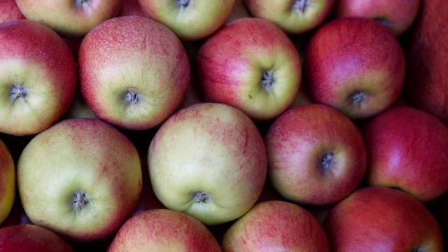 Close up and moving shot of fresh apples being sold at a market
