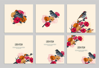 Set of covers for business and greeting cards. Square backgrounds for post on a social network. Abstract hand drawing flowering sakura branch and bird. Vector illustration