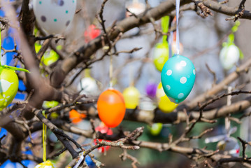 A lot of colourful easter eggs hanging at branches. Close up of mint Easter egg