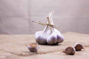Bulbs of garlic and cloves on burlap. Healthy lifestyle. Source of vitamins. Vegetarian diet.