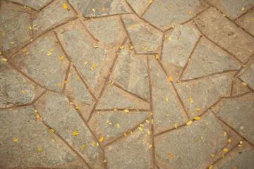 Stone Pathway Background Image