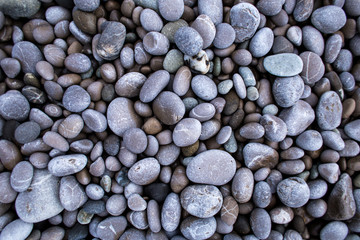 Small round pebbles on the seashore.