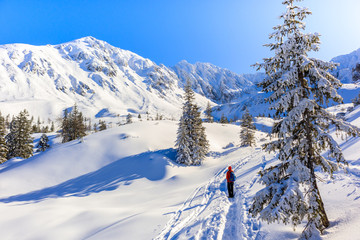 Young woman backpacker on walking trail in Gasienicowa valley near Czarny Staw lake during winter time after fresh snowfall, Tatra Mountains, Poland