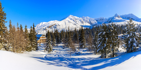 Fototapety na wymiar - Fototapeta24.pl