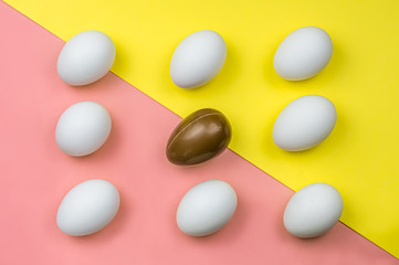 Pattern of white natural eco organic hen eggs and chocolate egg organized on colored paper background