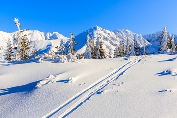 Fresh snow and beautiful winter landscape of Gasienicowa valley, Tatra Mountains, Poland