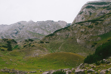 Mountain trip, Montenegro, Durmitor national park