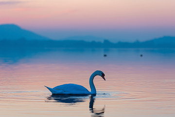 Radolfzell – Sonnenuntergang über dem Bodensee