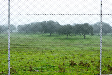 Beautiful countryside limited with a wire fence